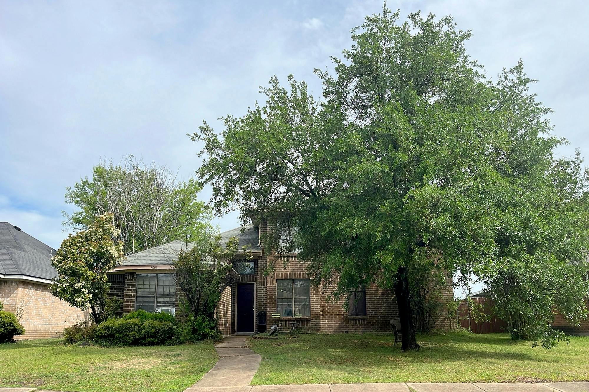 Main image