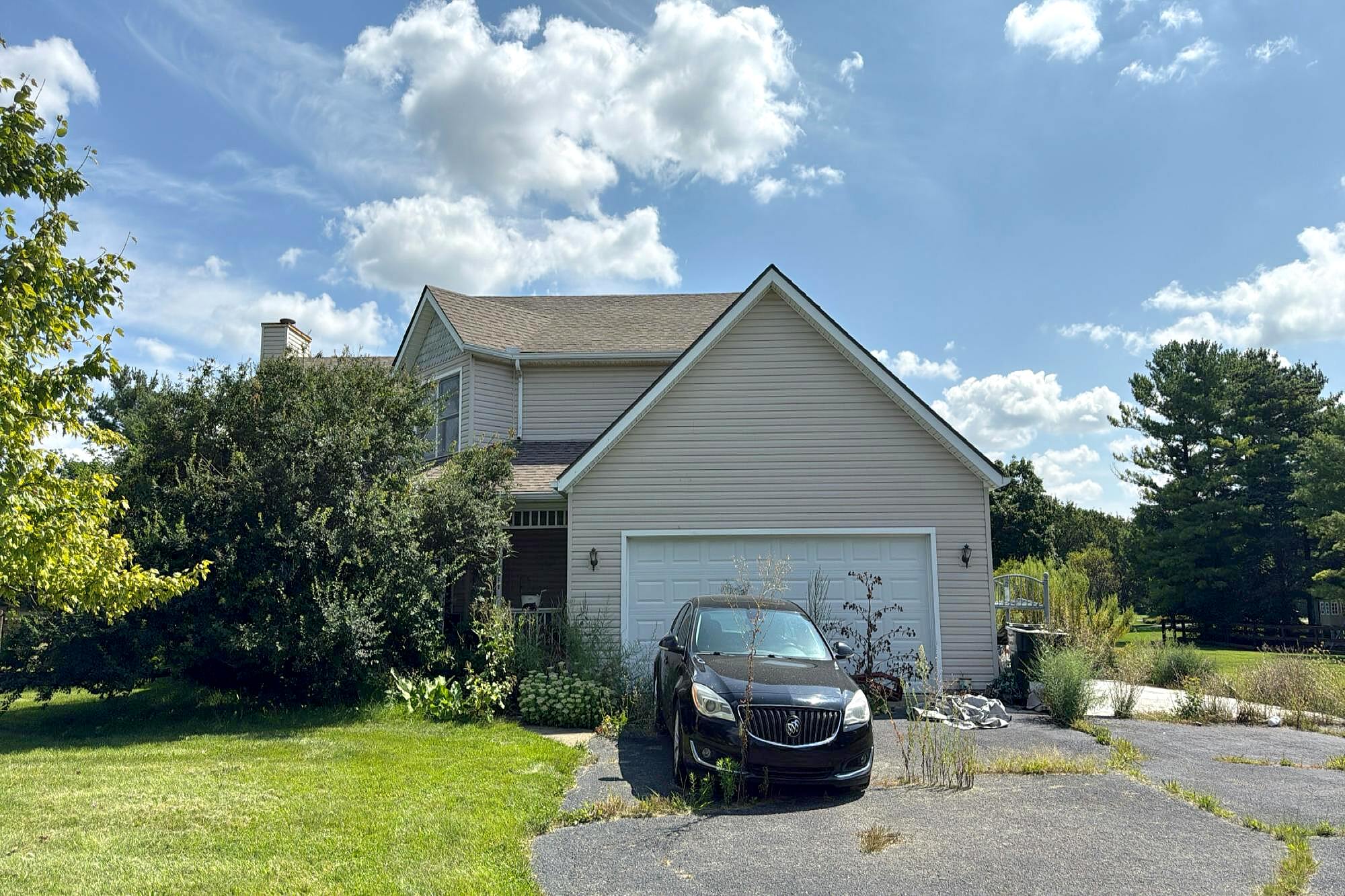 Main image