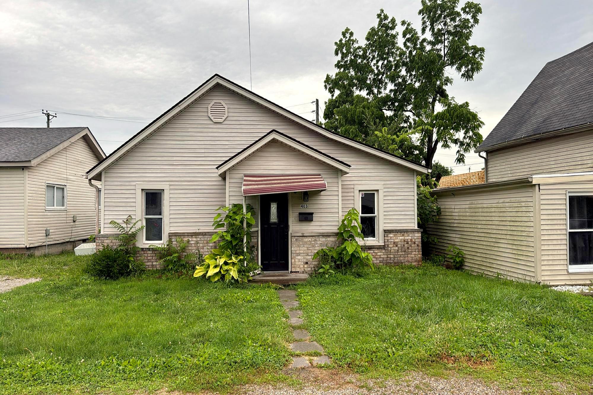 Main image