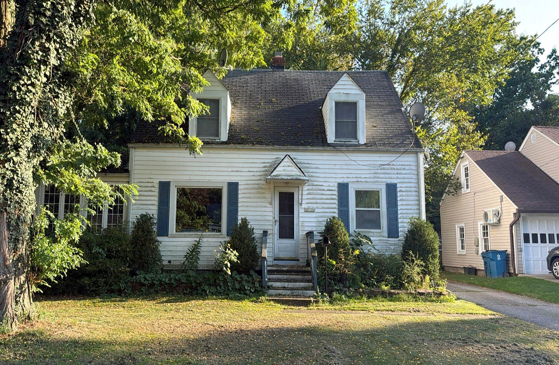 Main image