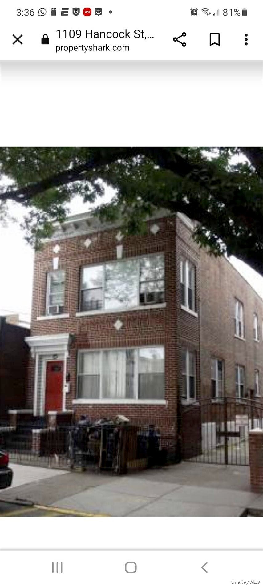 Main image