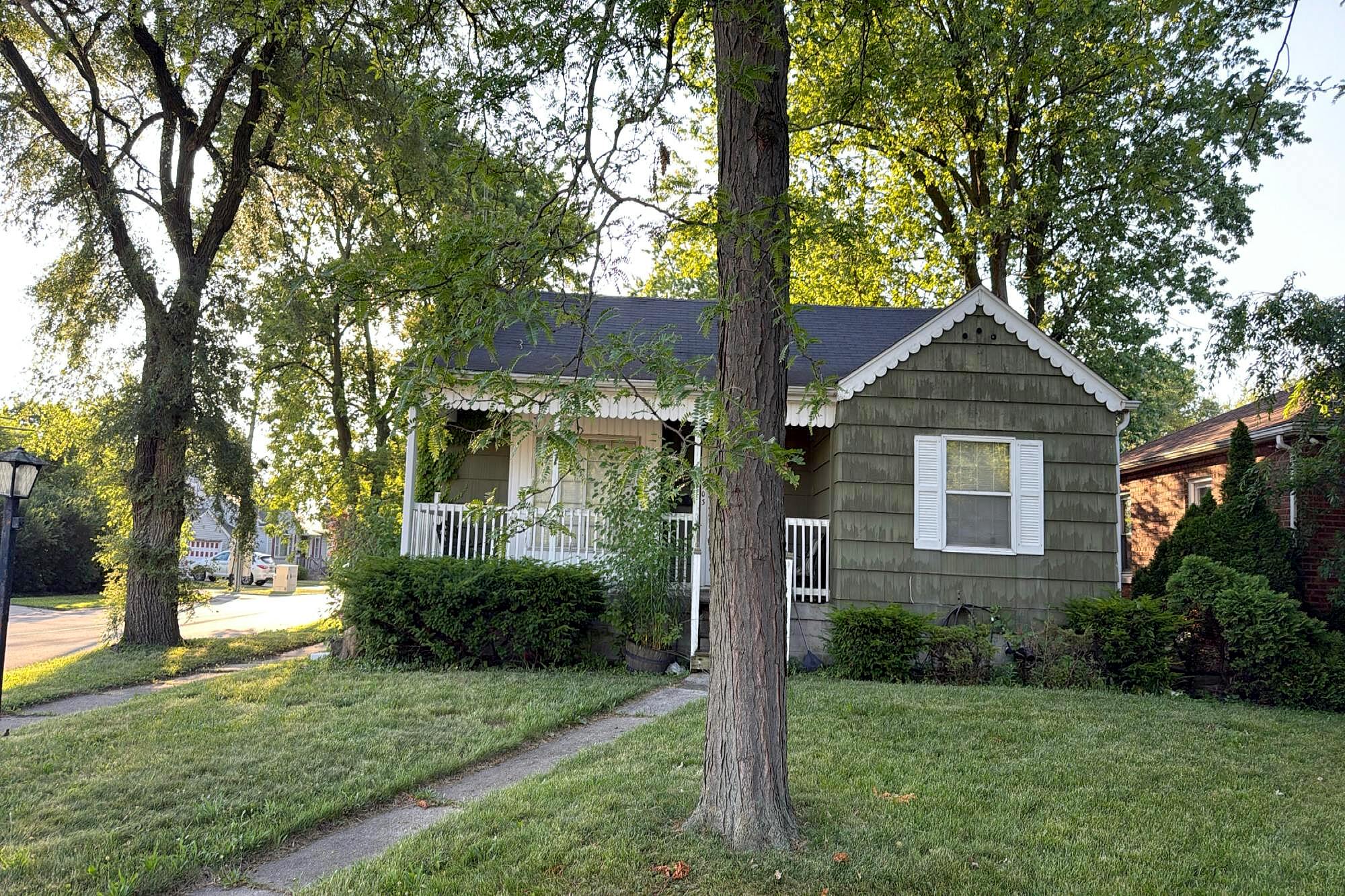 Main image