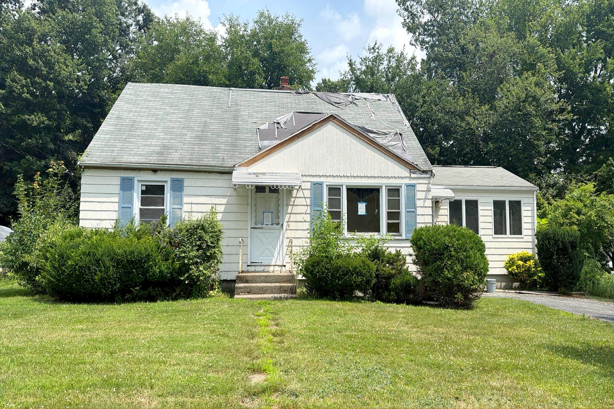 Main image