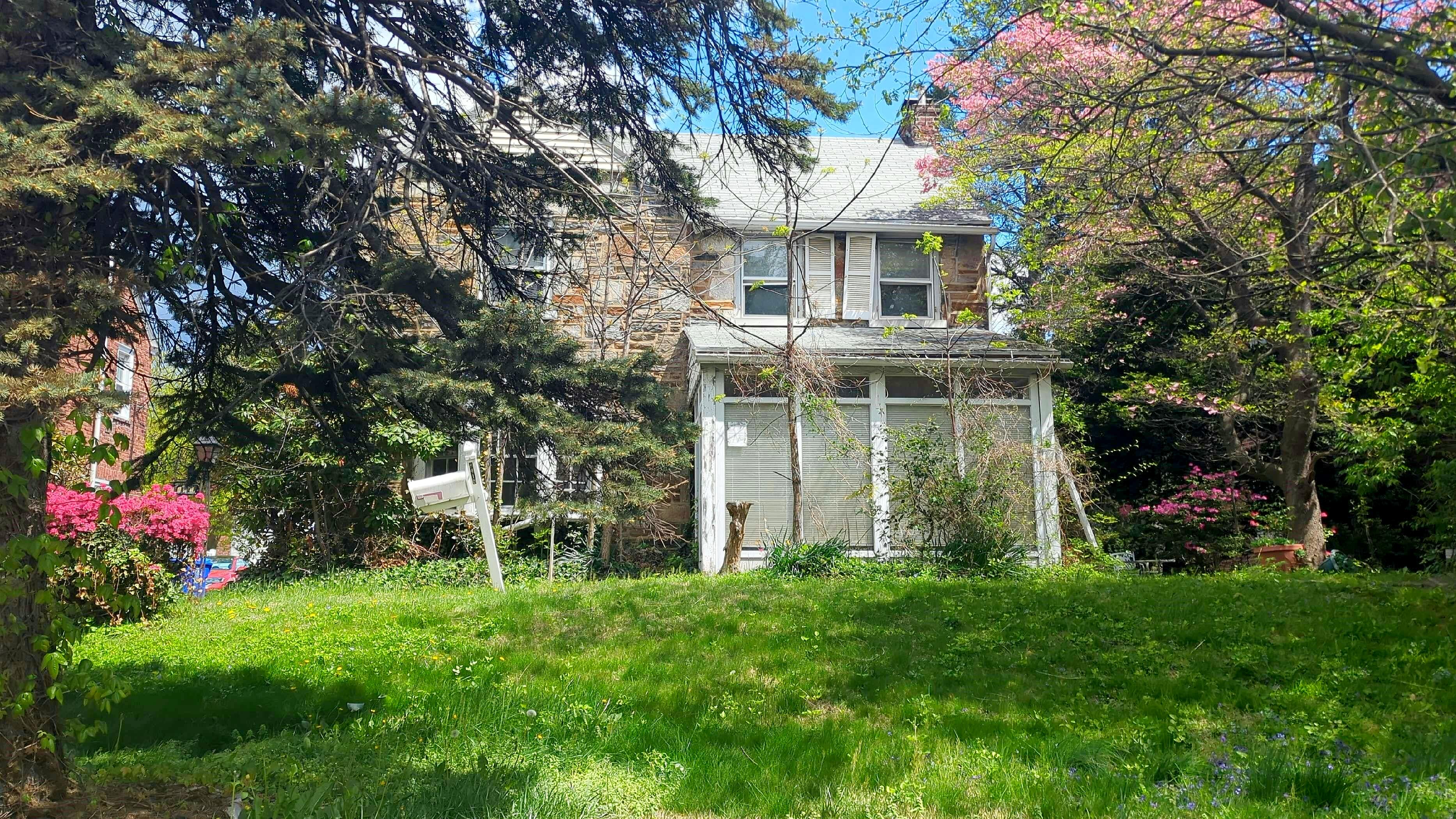 Main image