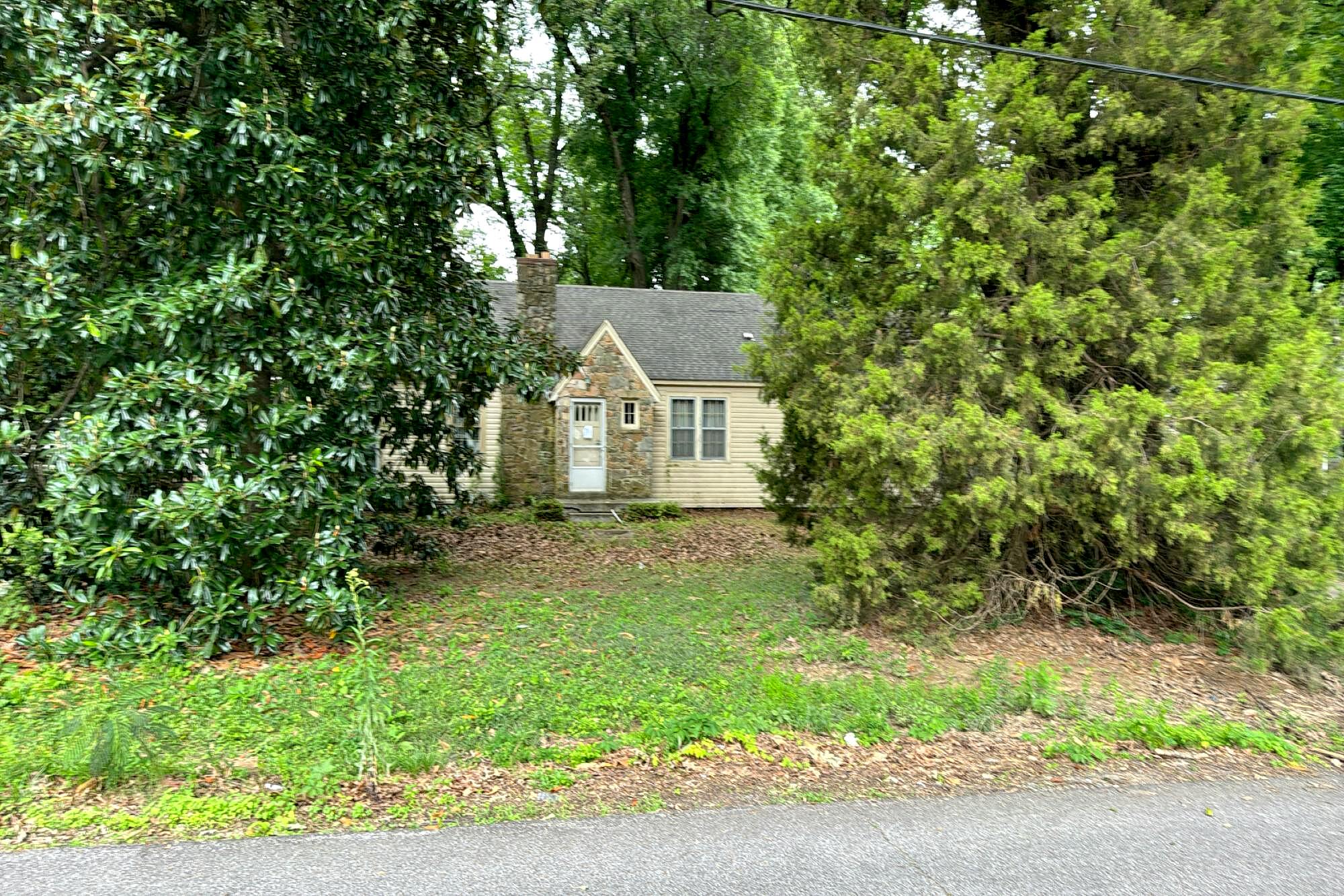 Main image
