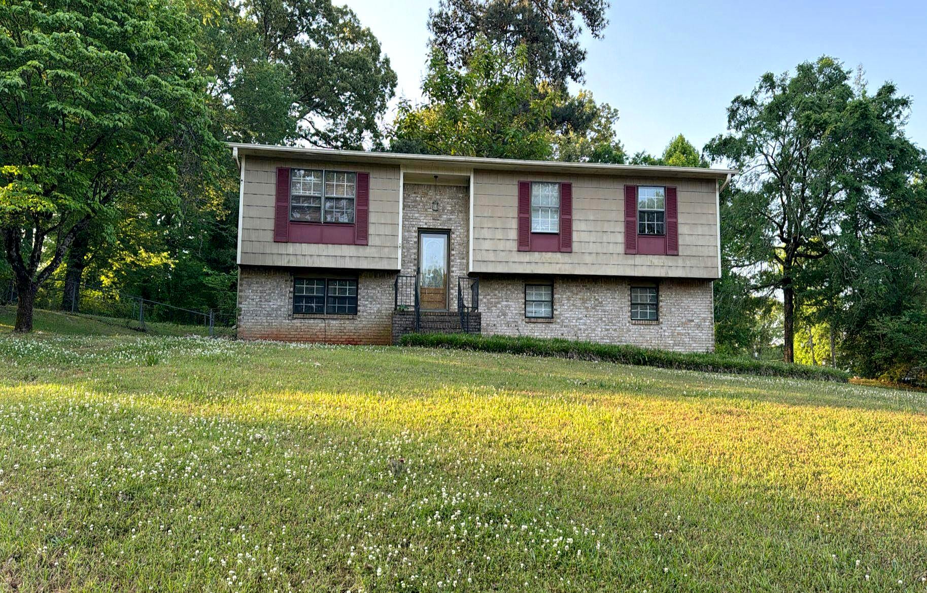Main image