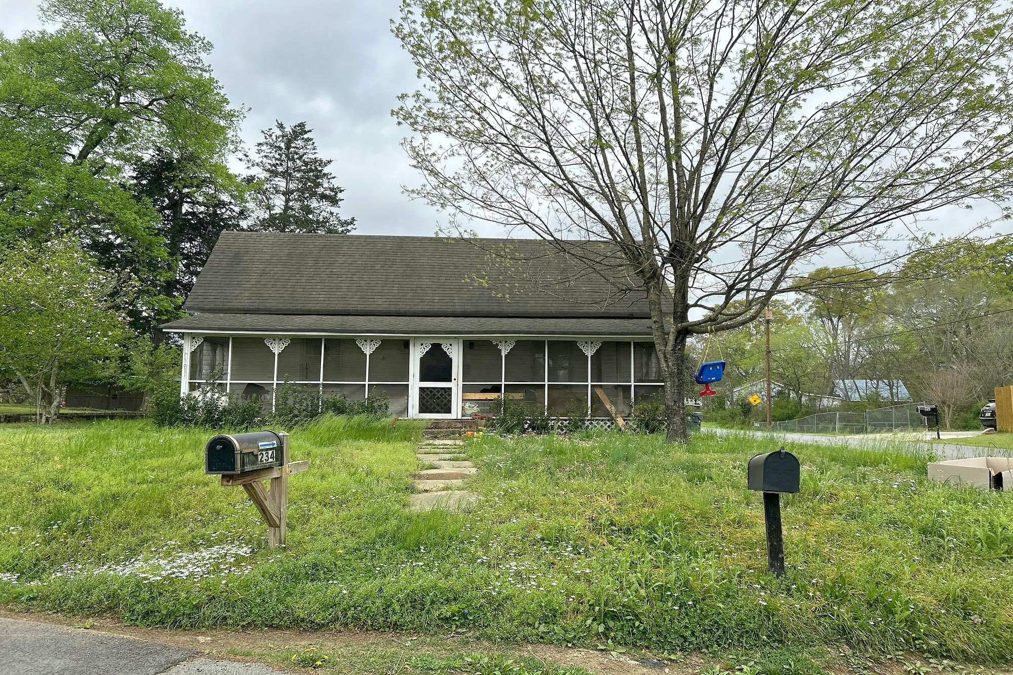 Main image