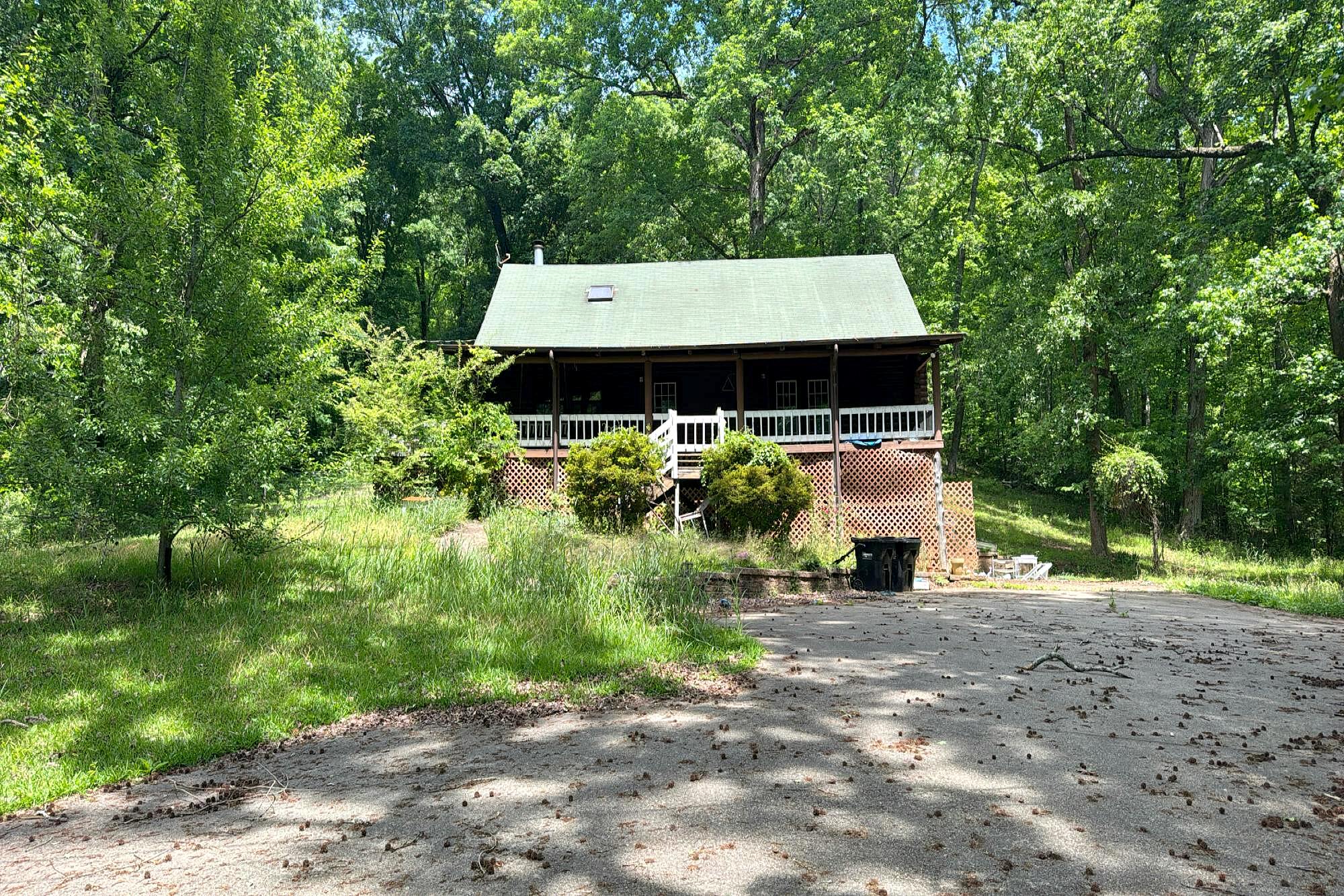 Main image