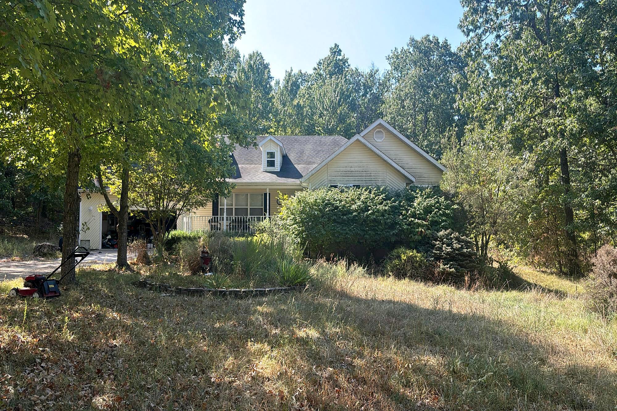 Main image