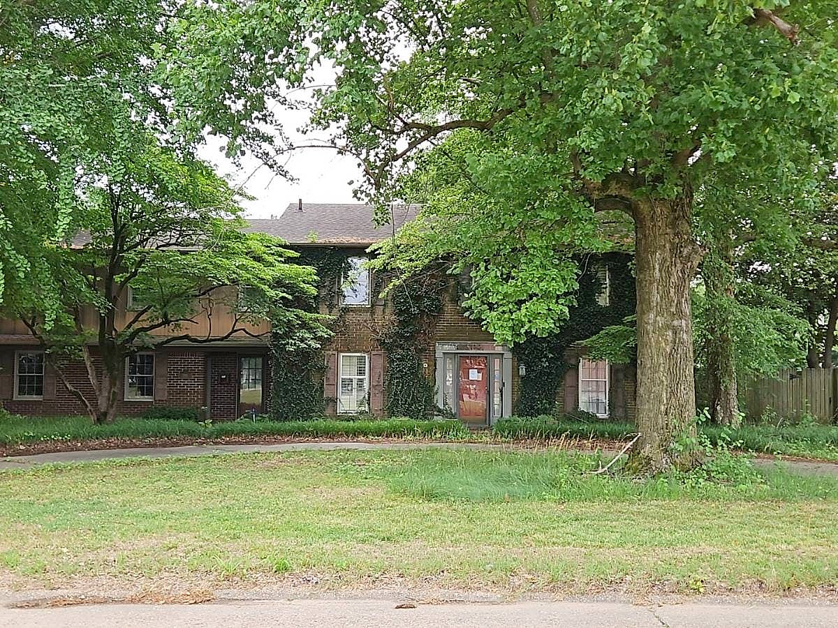 Main image