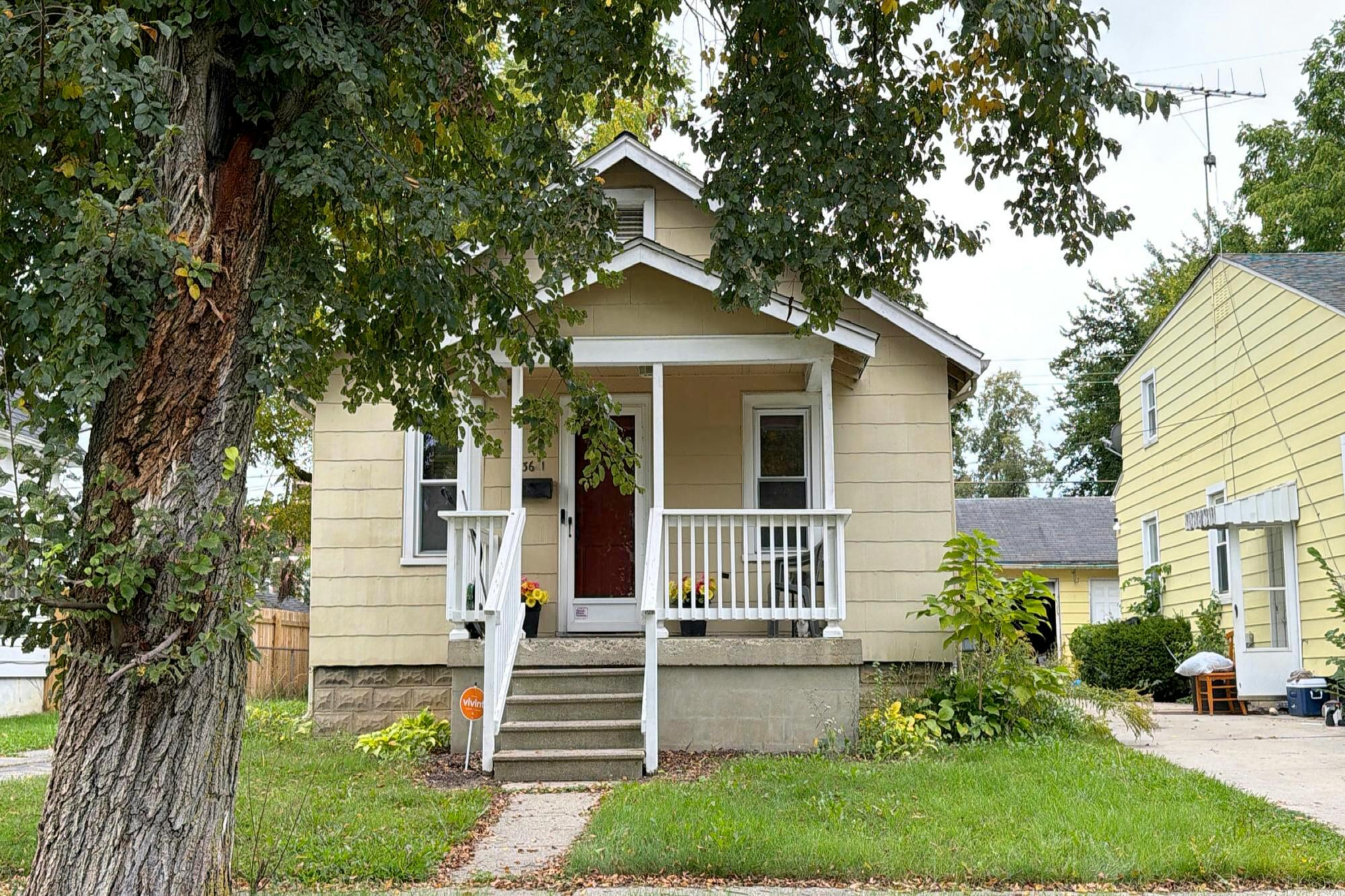 Main image