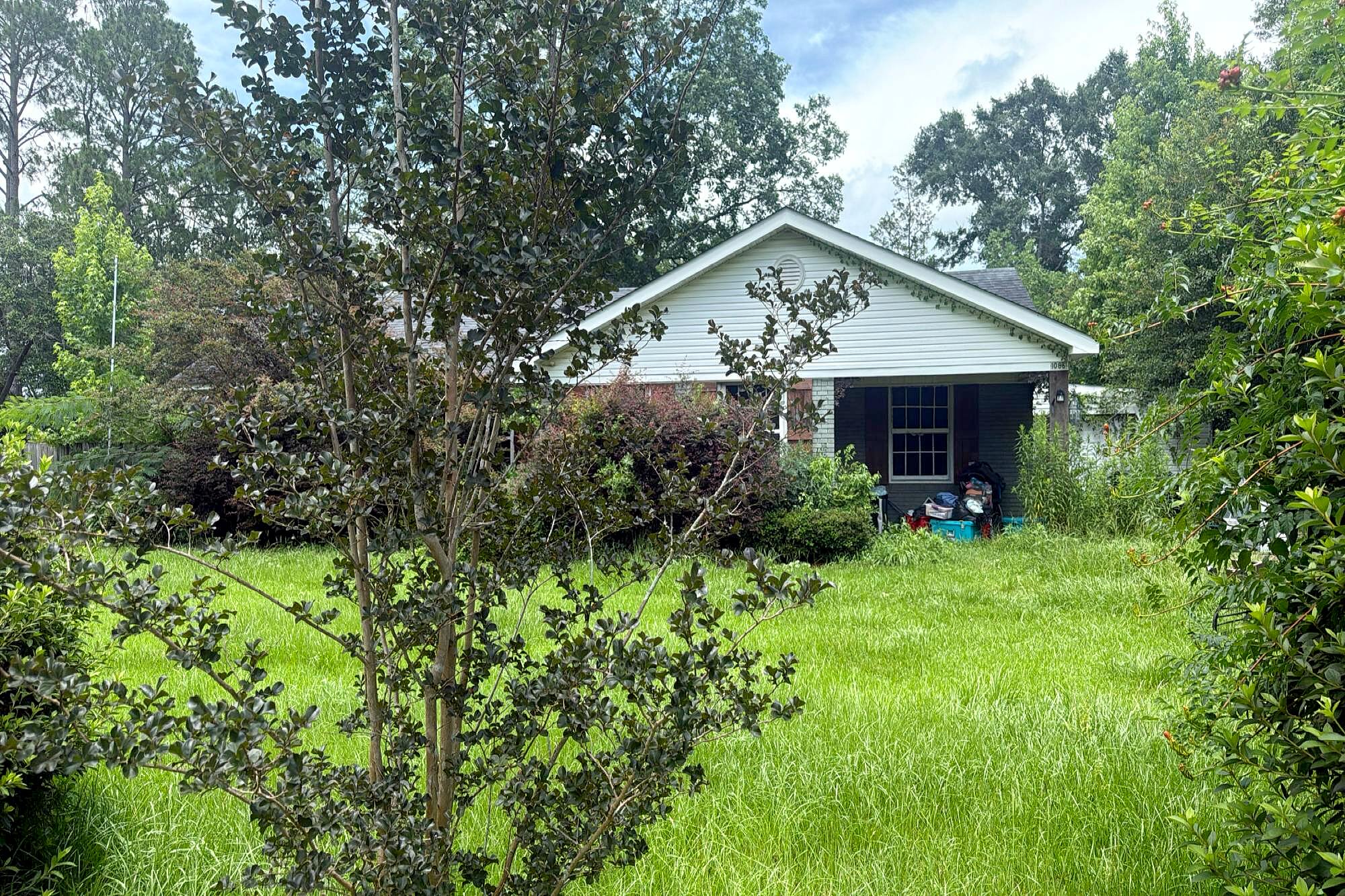 Main image
