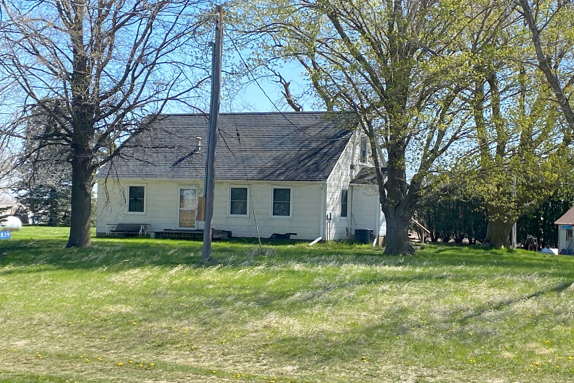 Main image