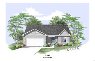 1 Tbb-southern Heights-tulip, Pevely, MO, 63070