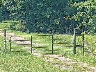 Featured Property