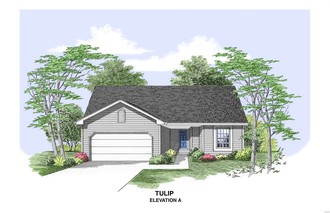 1 Tbb-stonewater-tulip, Pevely, MO, 63070