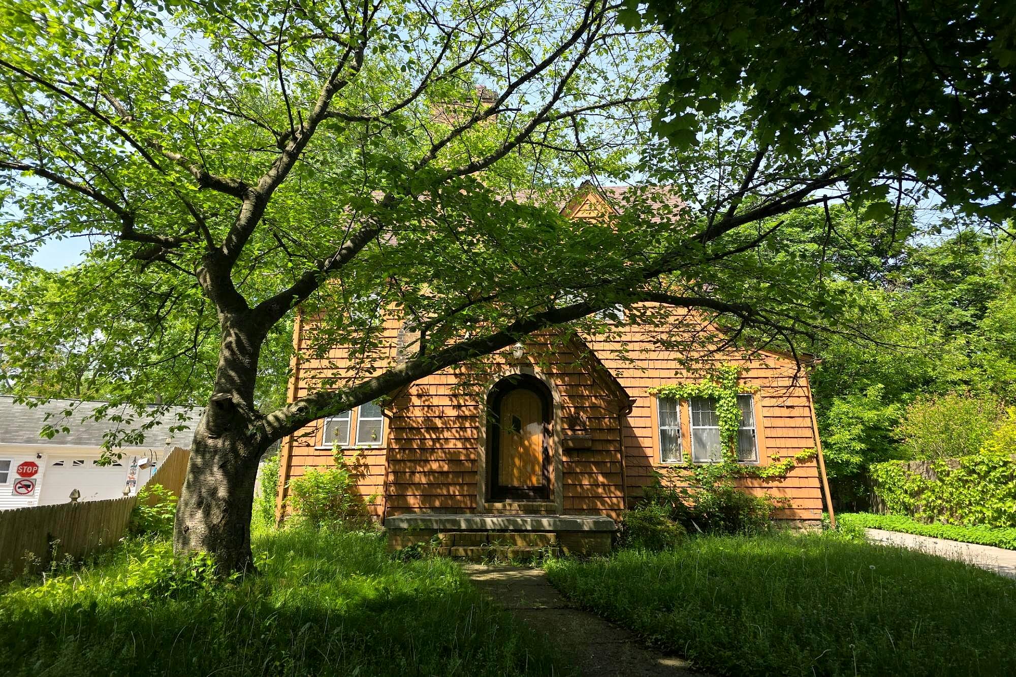 Main image