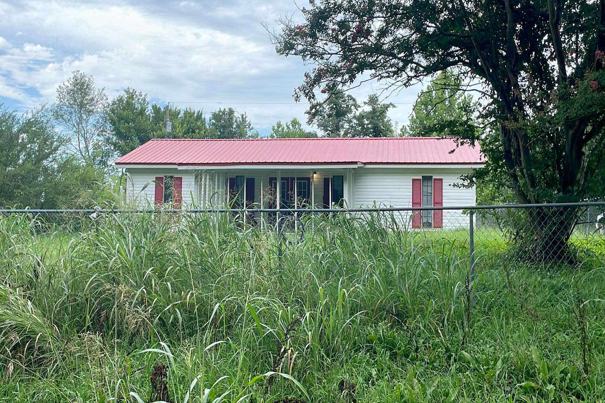 Main image