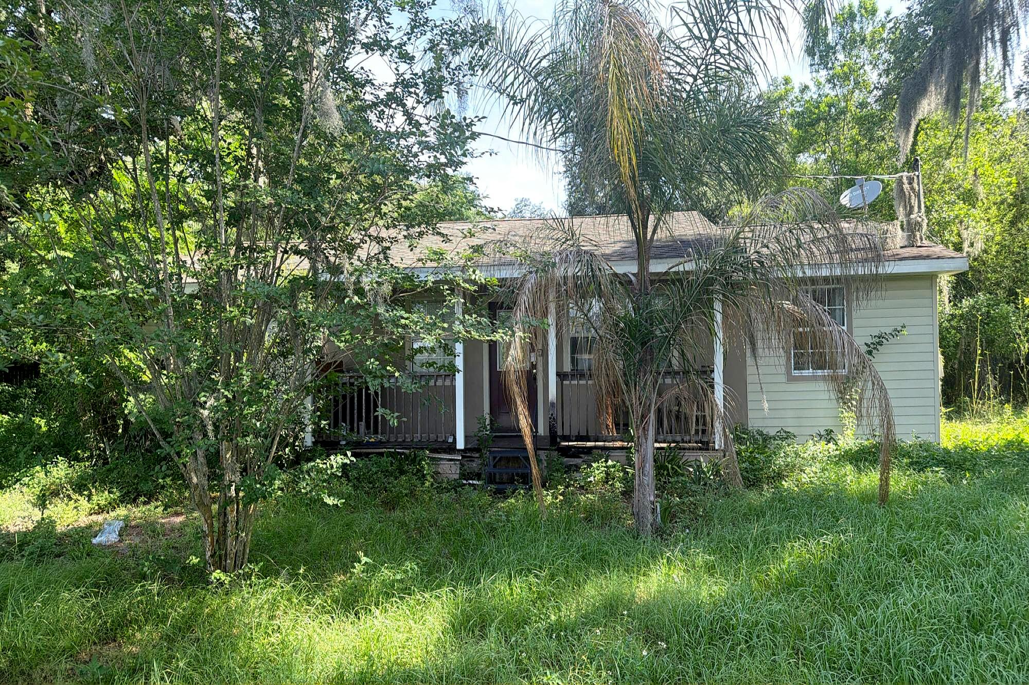 Main image