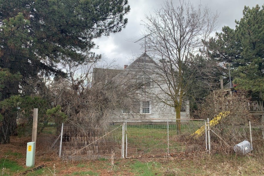 Main image