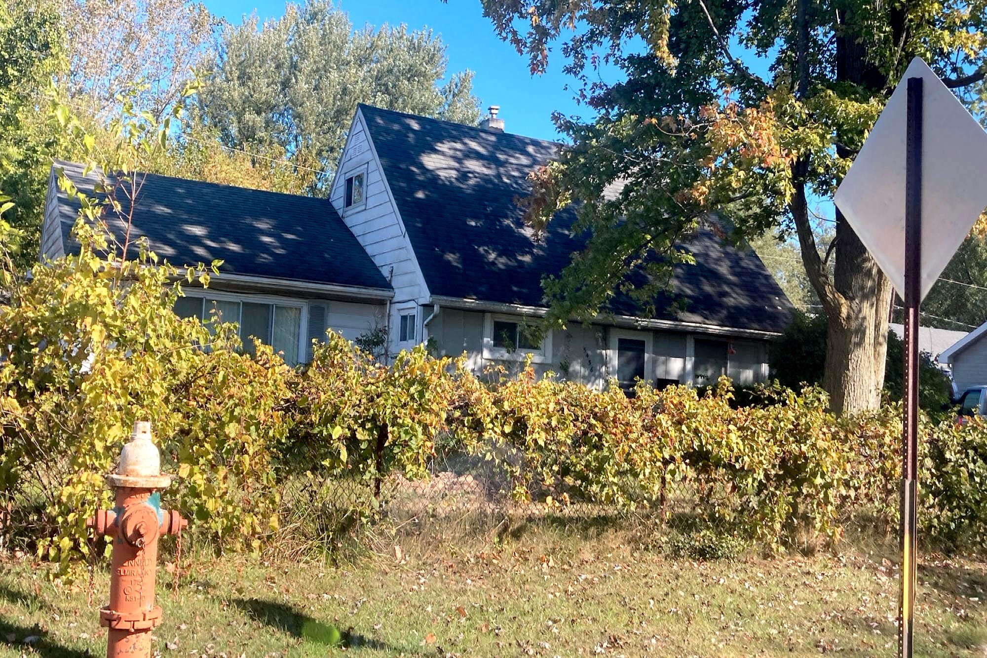 Main image