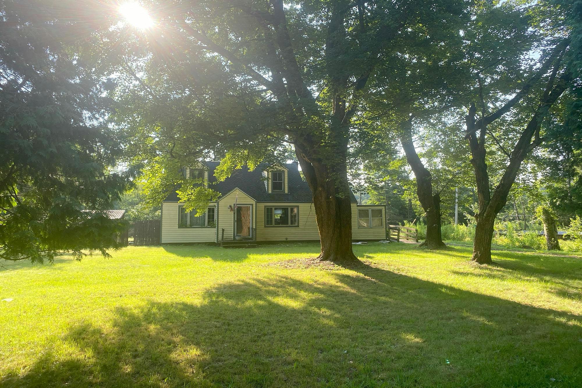 Main image