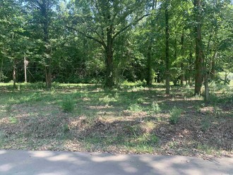 0000 Paul Street, Bald Knob, AR, 72010