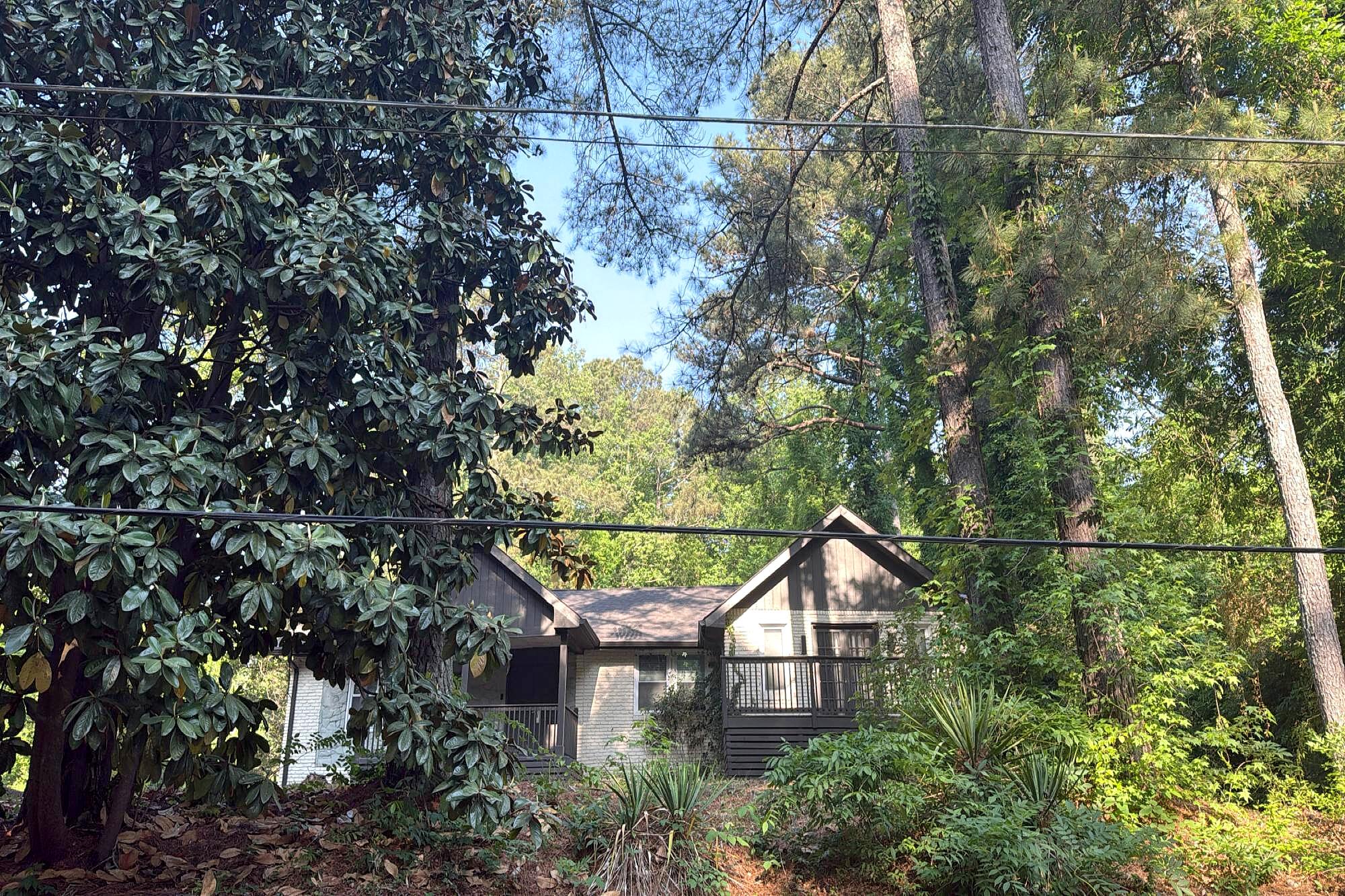 Main image