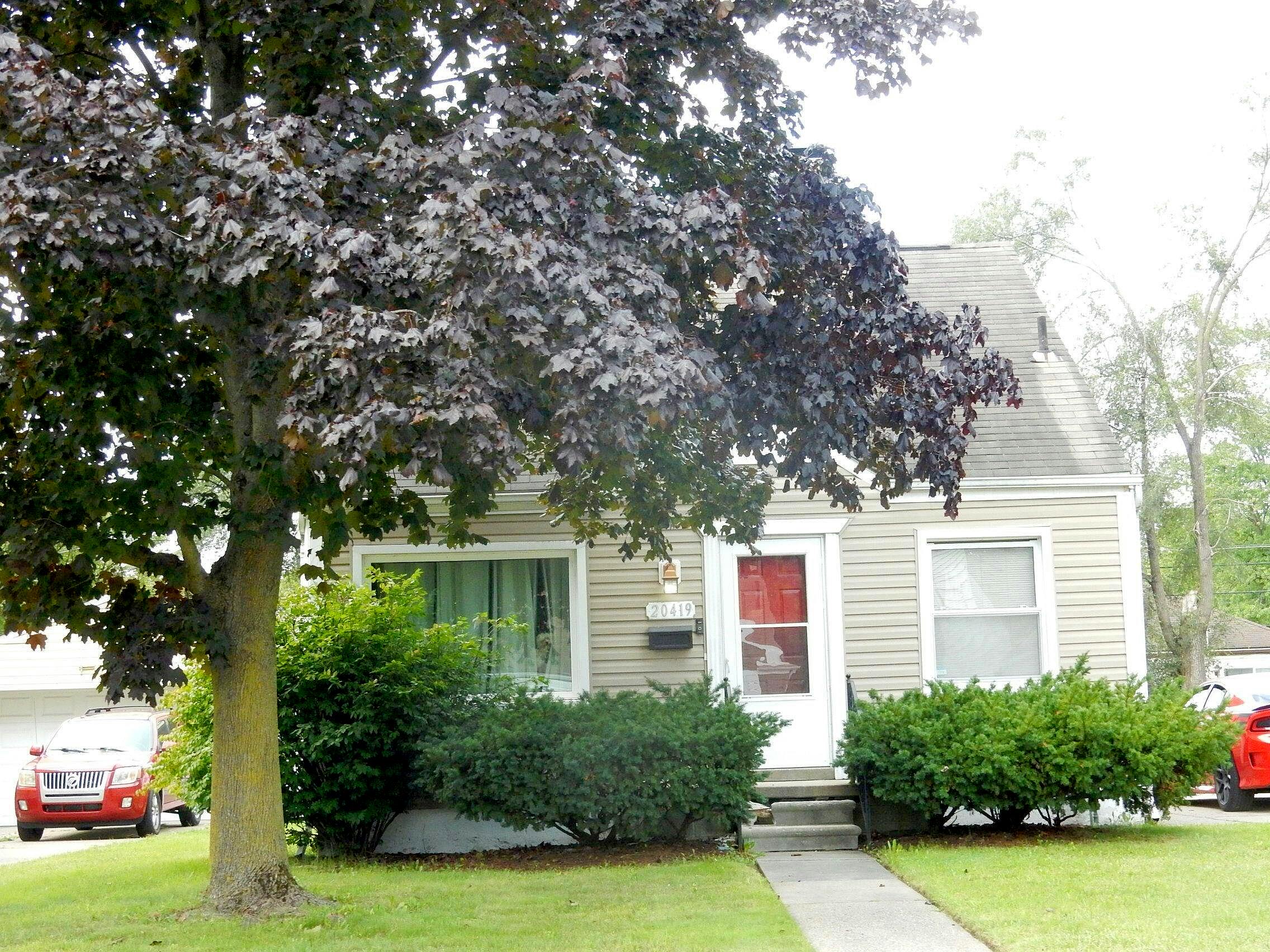 Main image