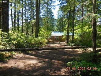 Cabin 1 Northwoods, Cougar, WA, 98616