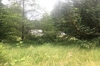 Ne Snowcap Dr, Tahuya, WA, 98588