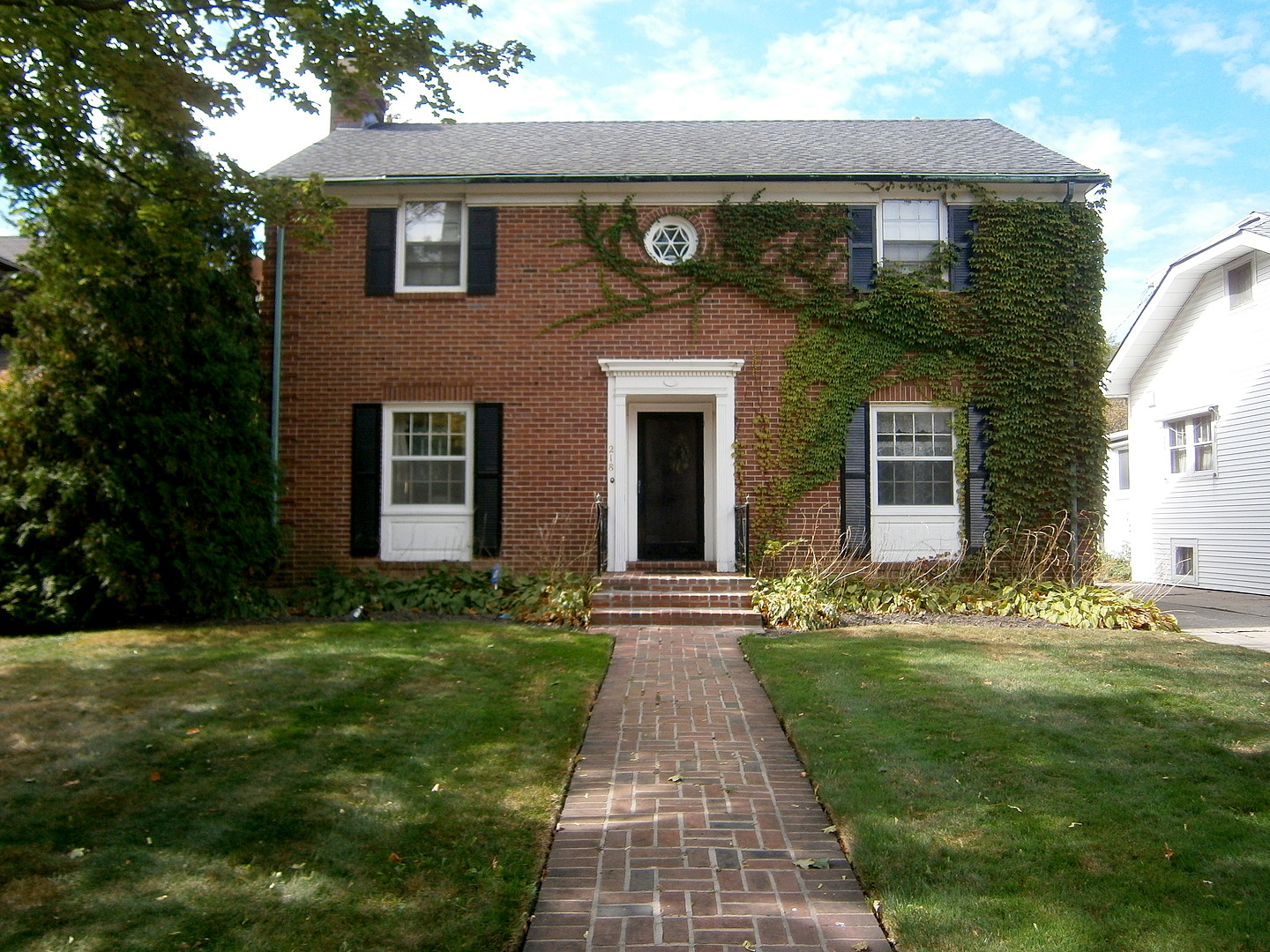 Main image
