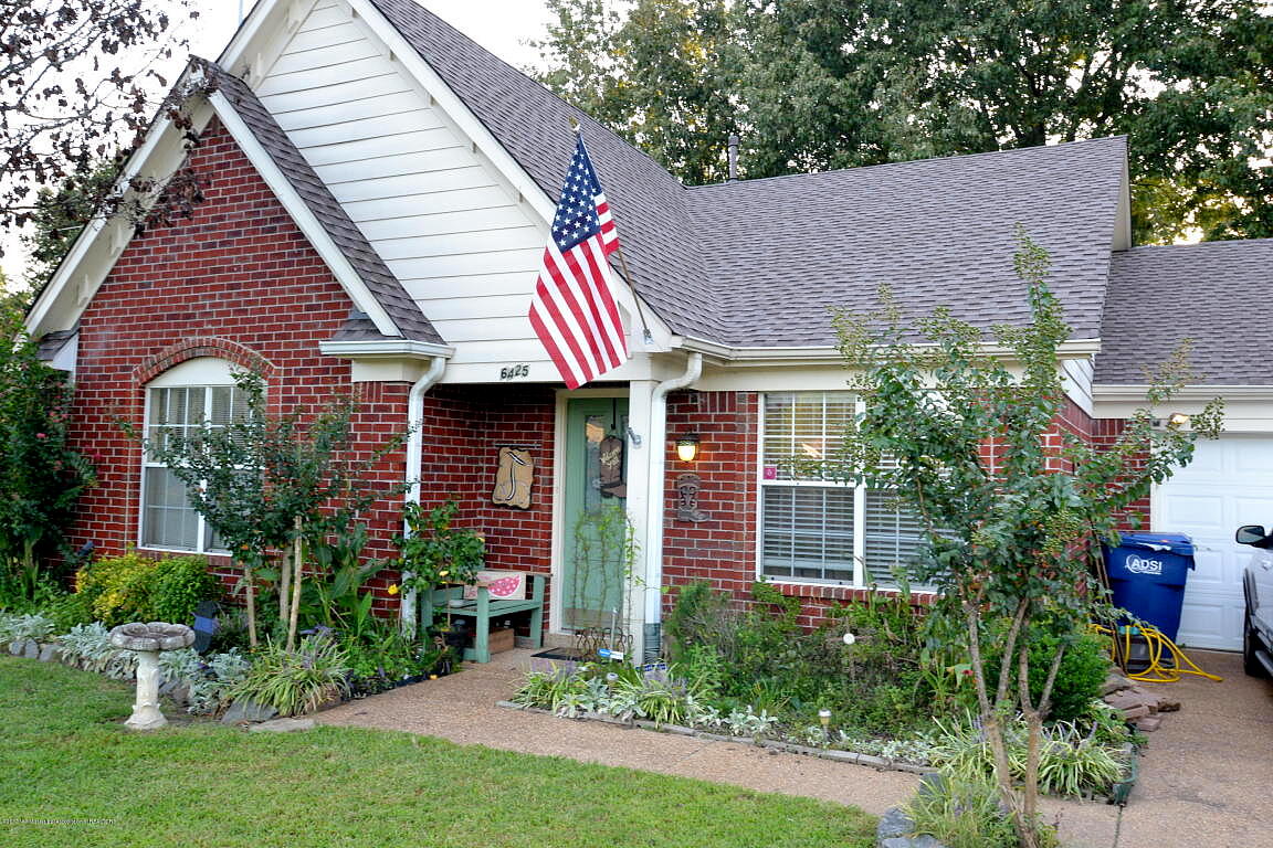 Main image