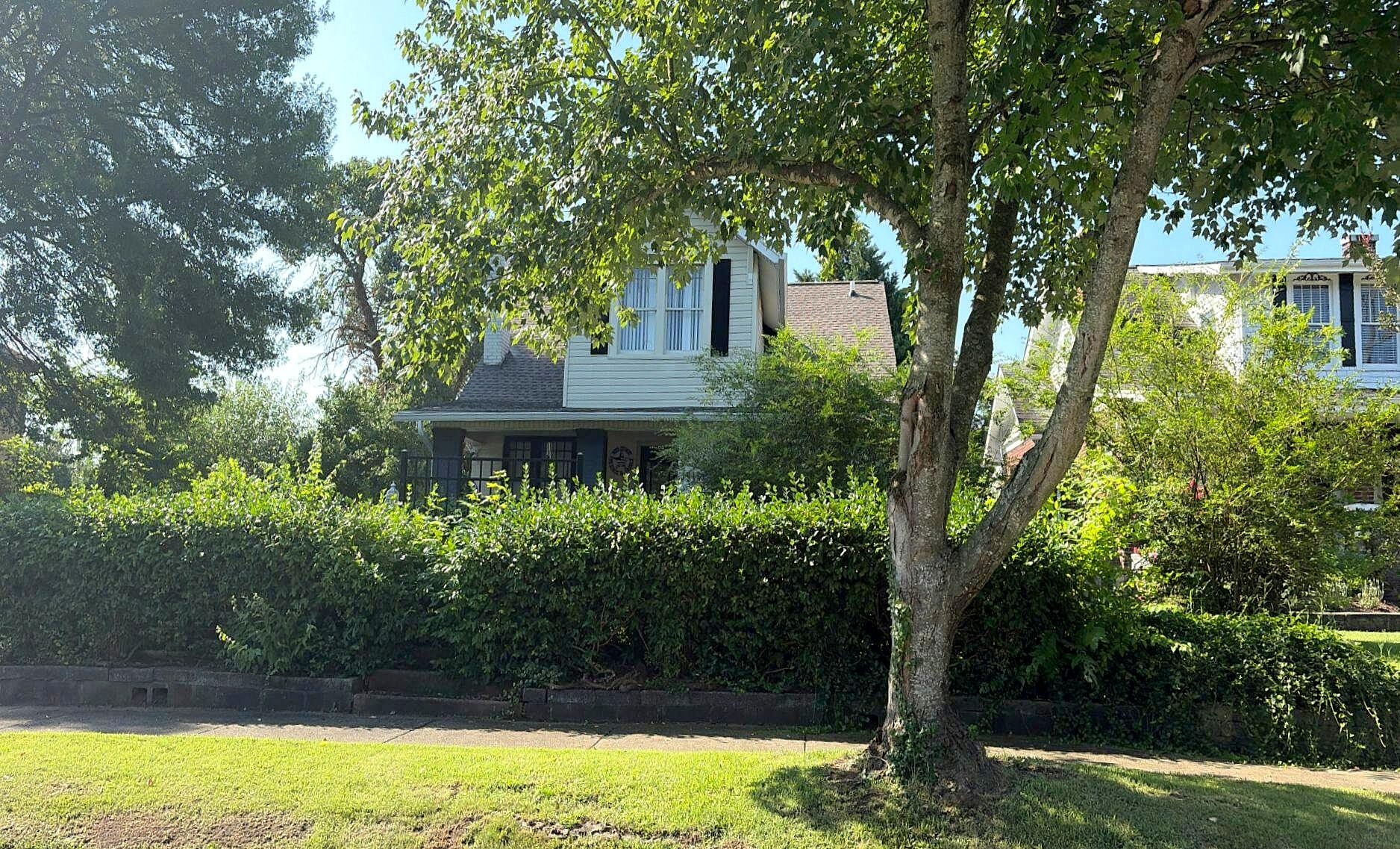 Main image