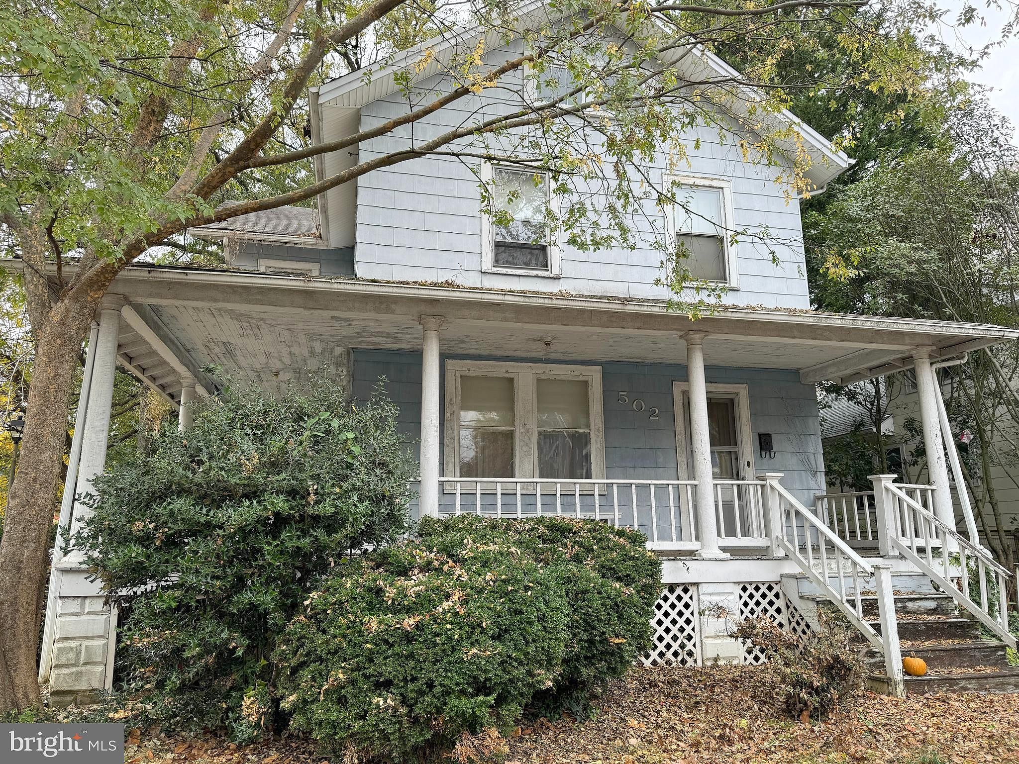 Main image