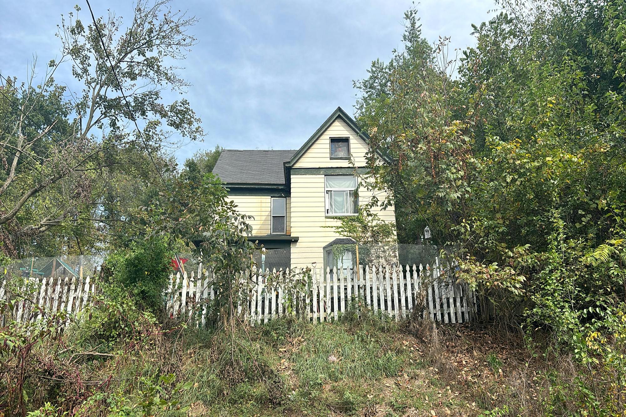 Main image
