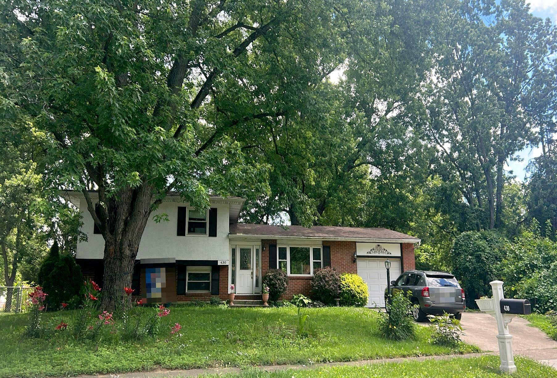 Main image