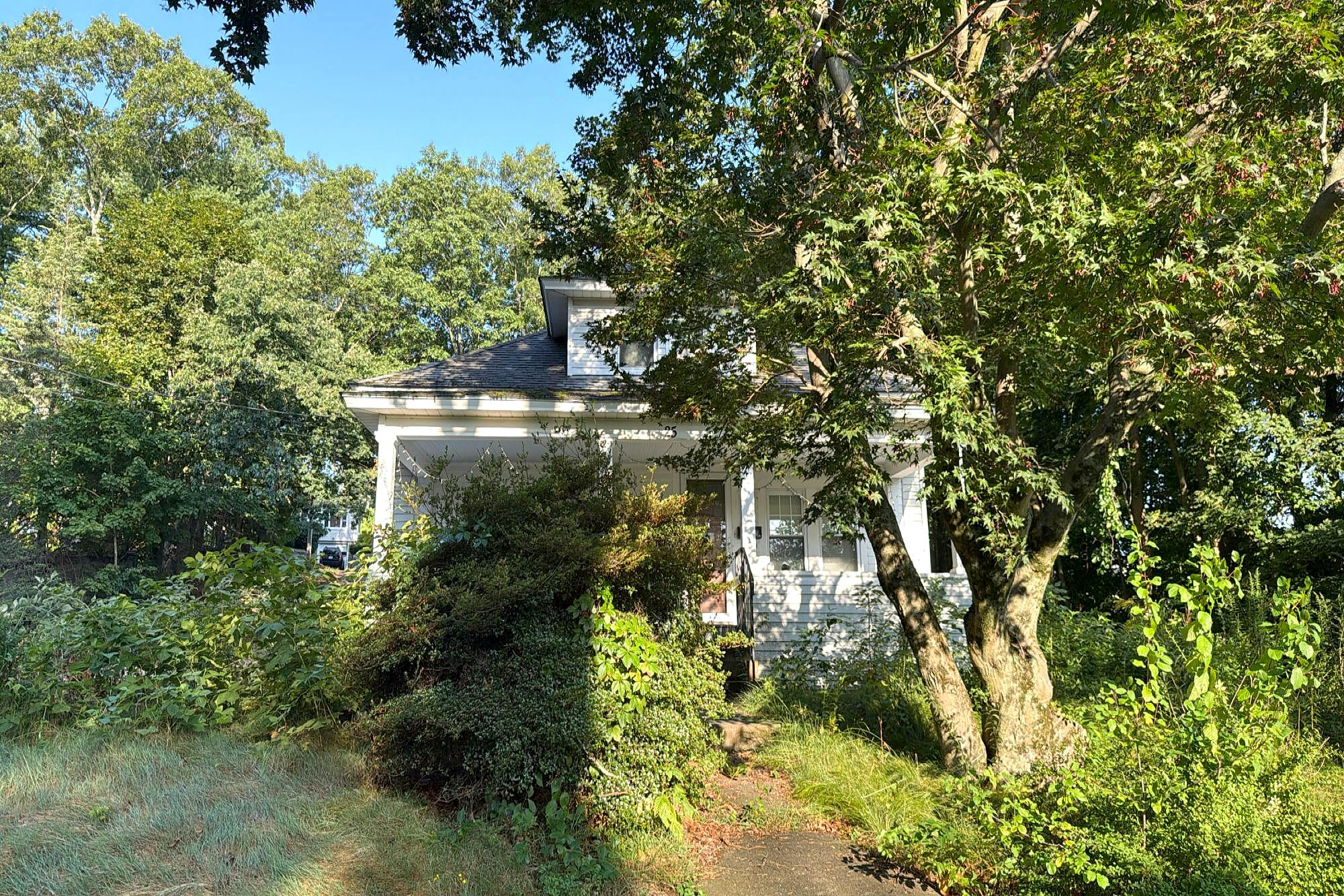 Main image