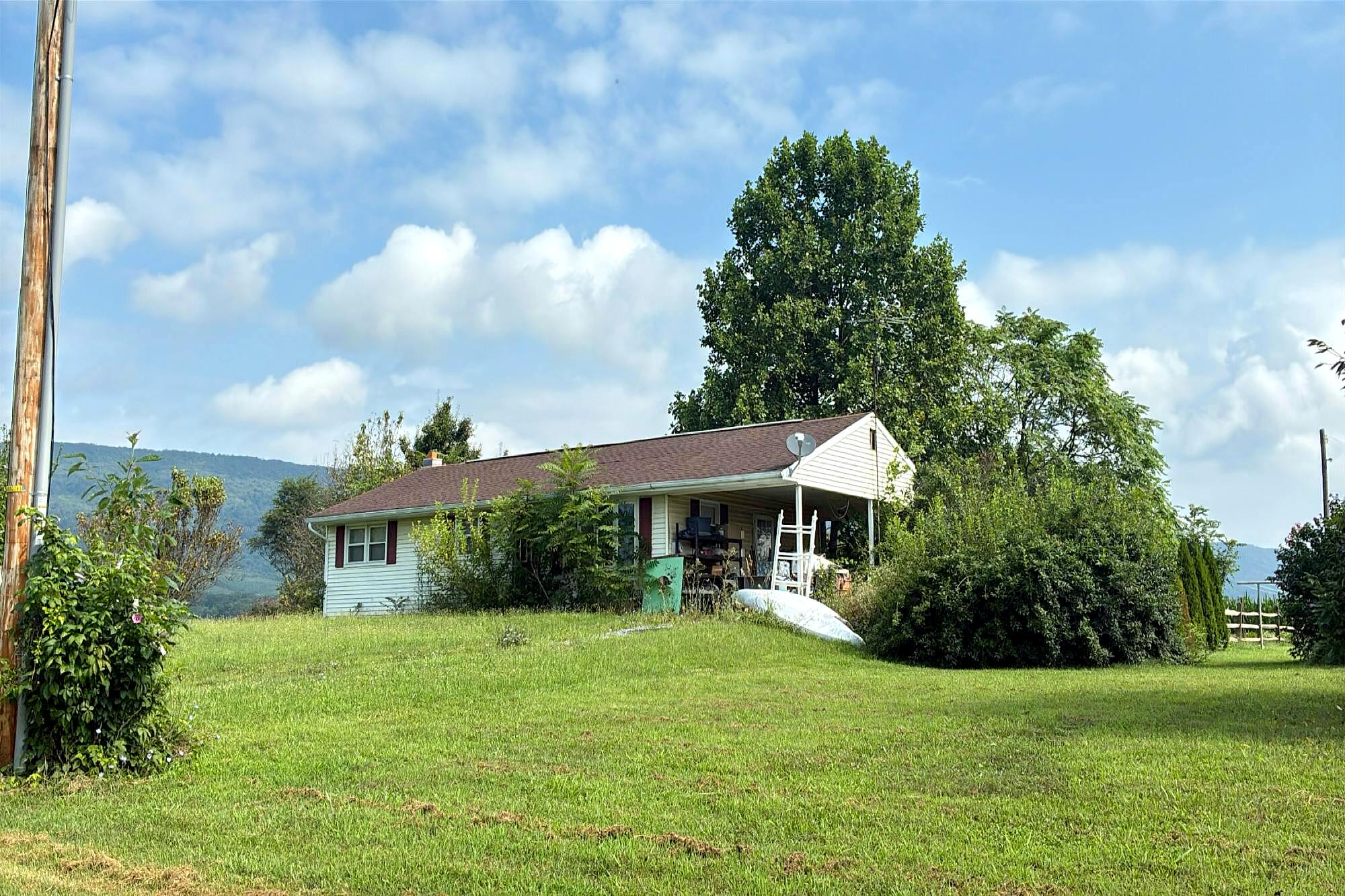 Main image