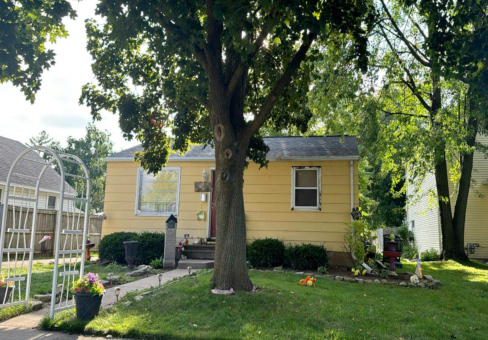 Main image