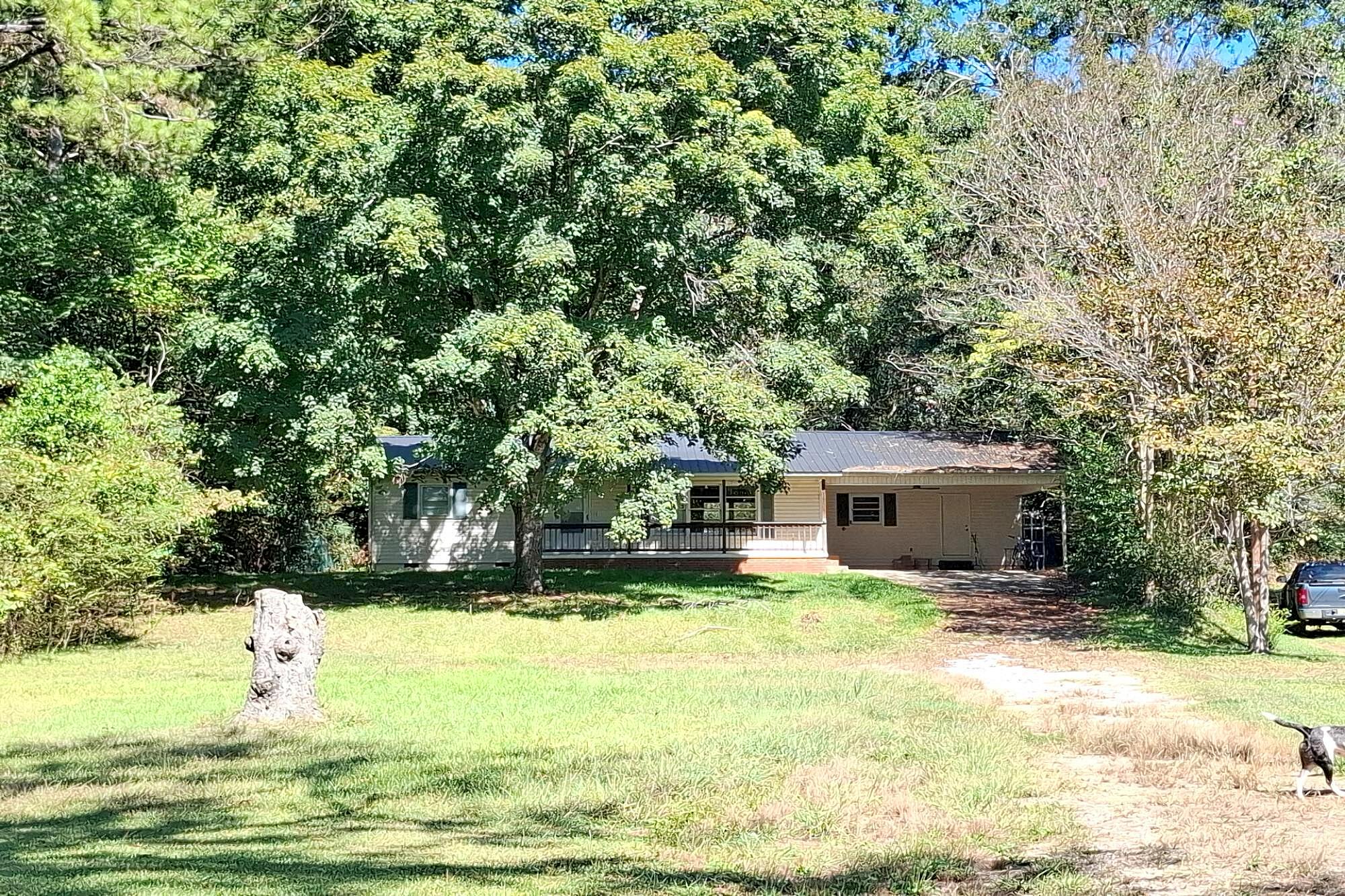 Main image