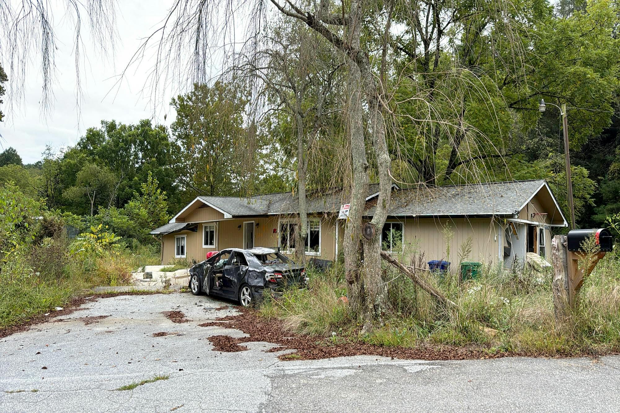 Main image