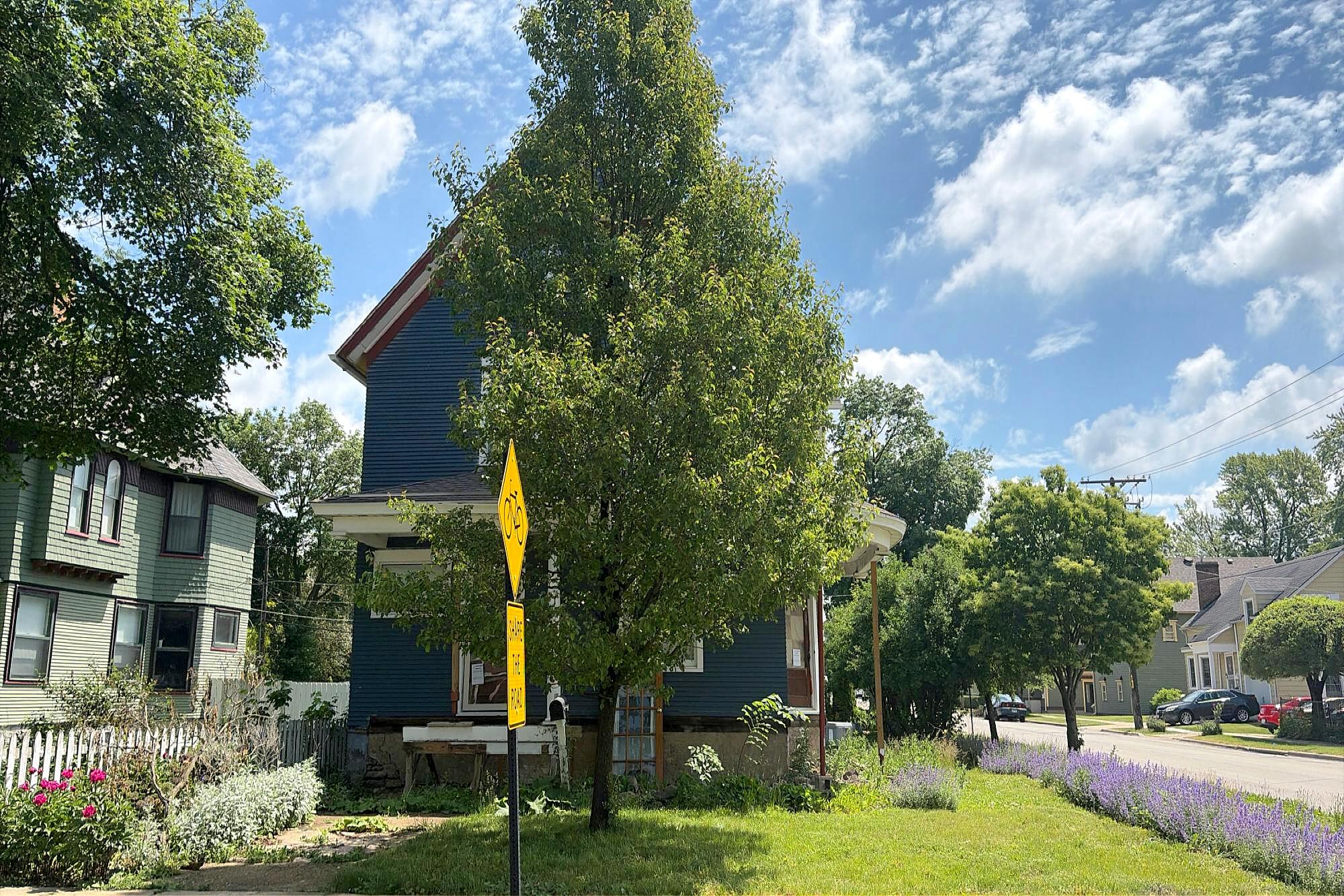 Main image