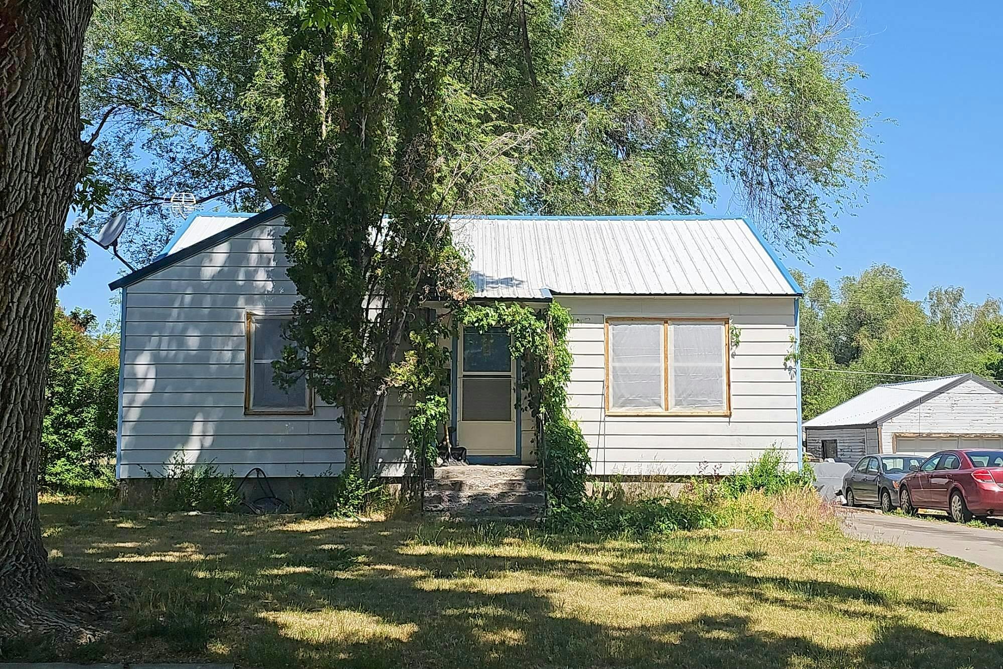 Main image