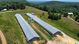 8735 County Road 5, Ashland, AL, 36251