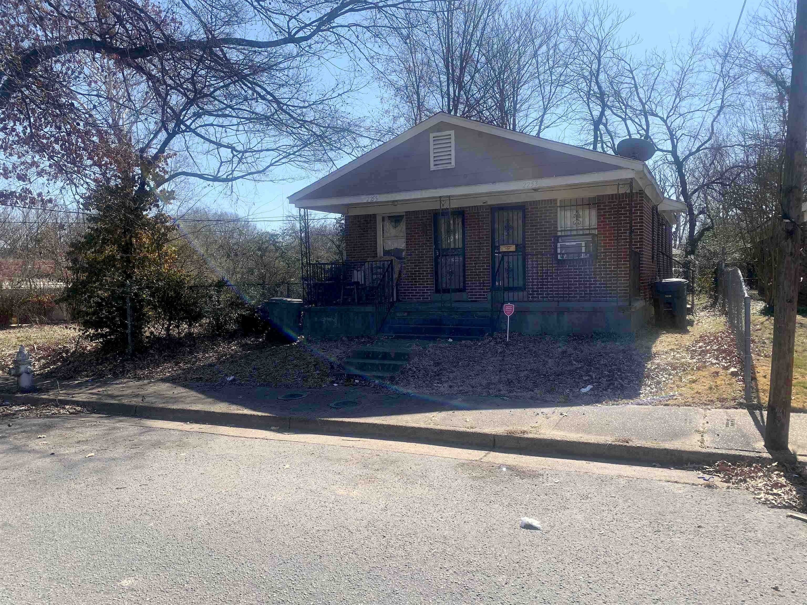 Main image