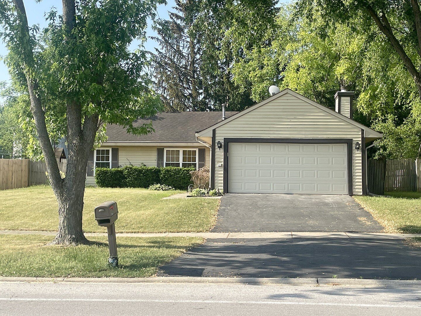 Main image