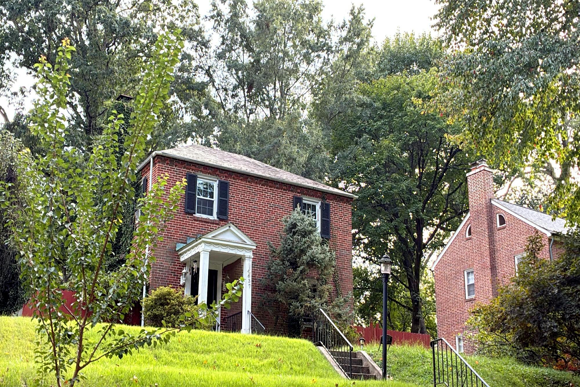 Main image