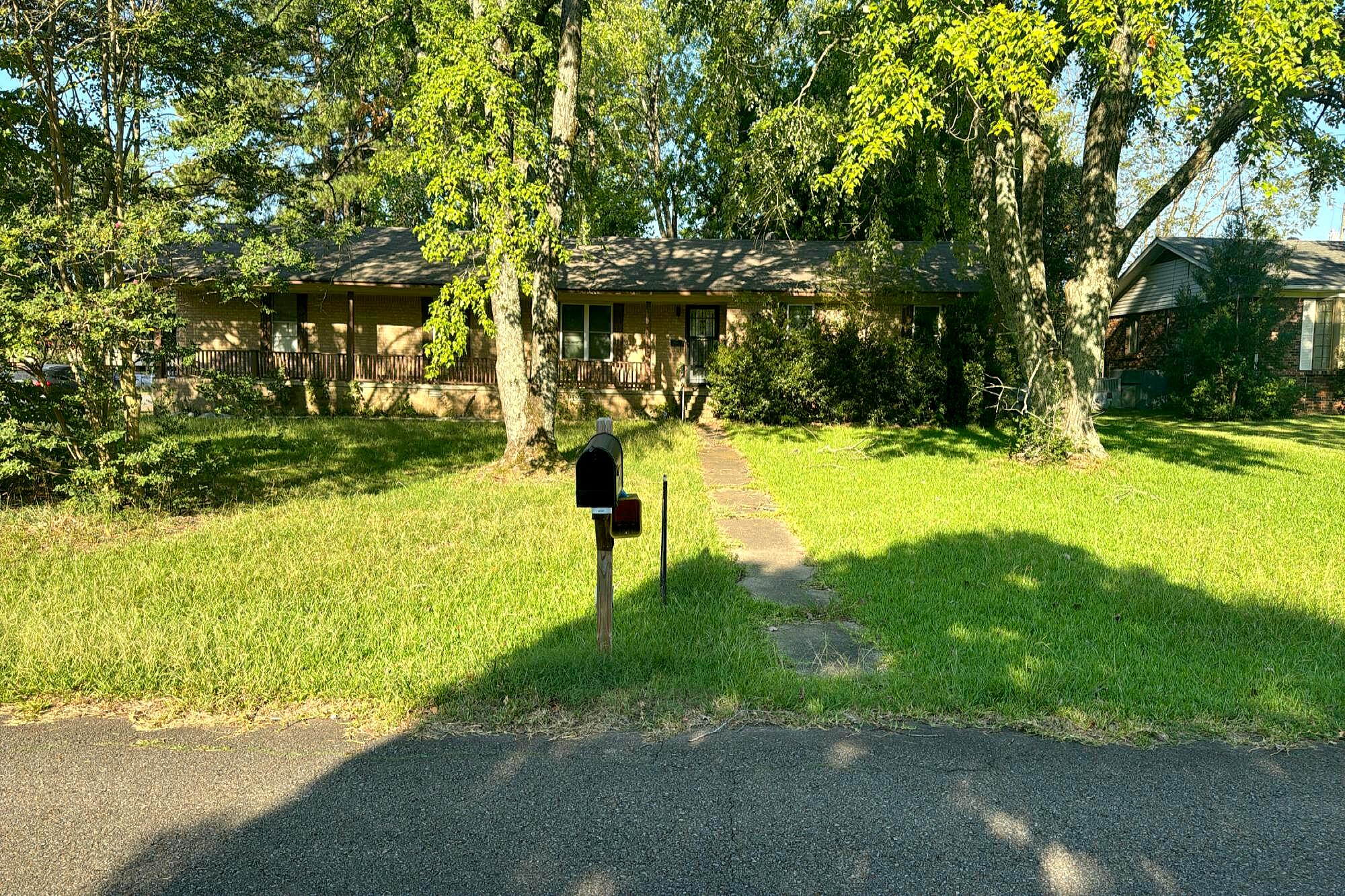 Main image