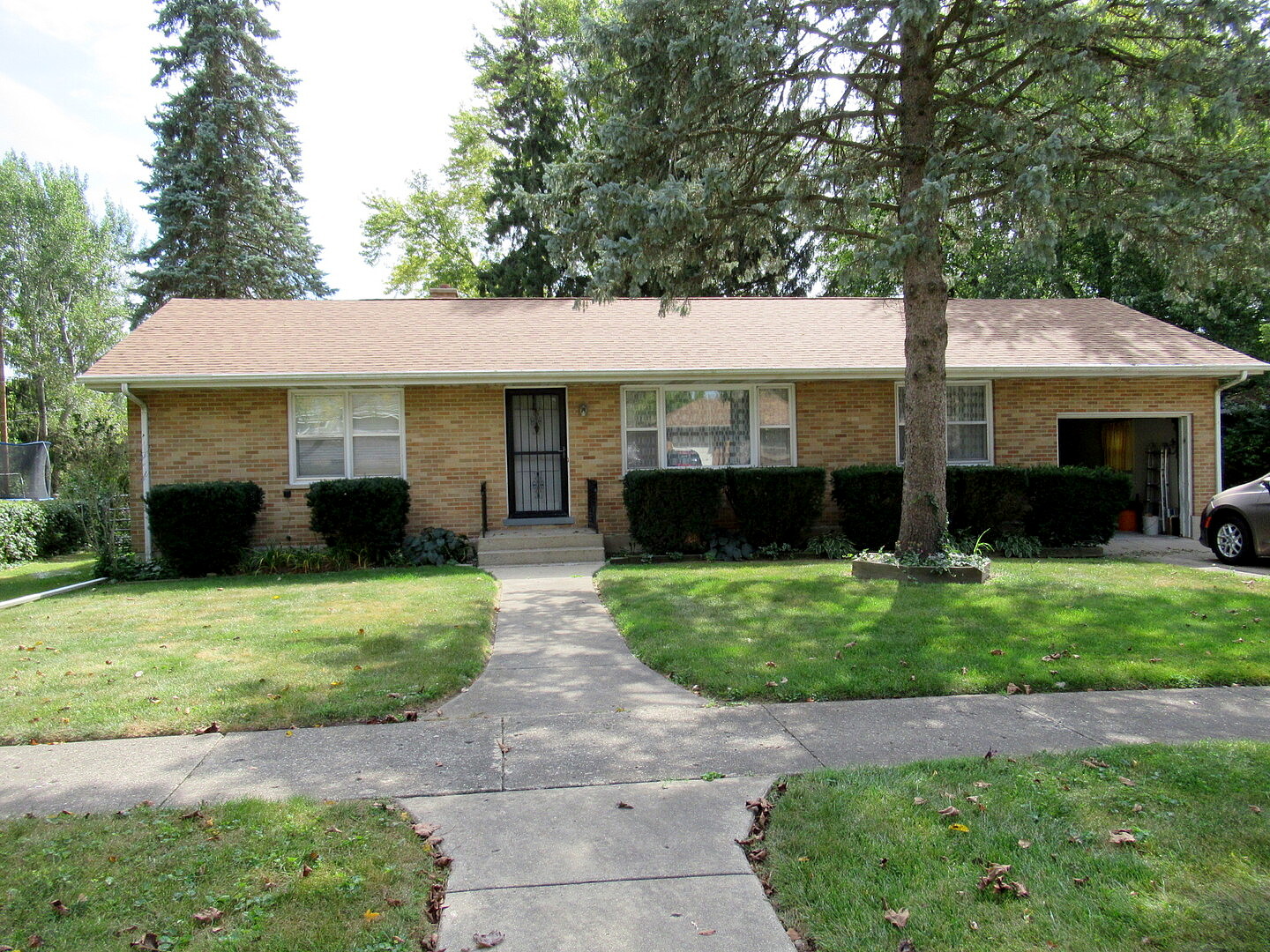 Main image
